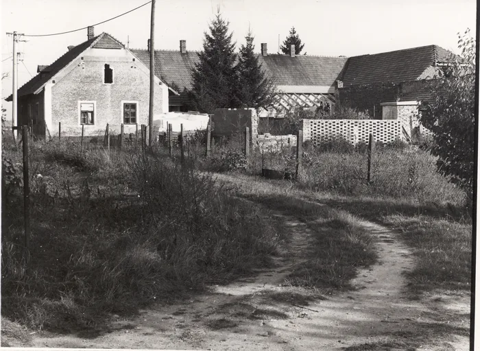 Historie pily — fotografie 1